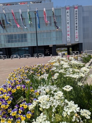 沼田公園の花壇の写真1
