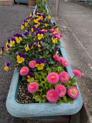 大原台集会所の花壇の写真2