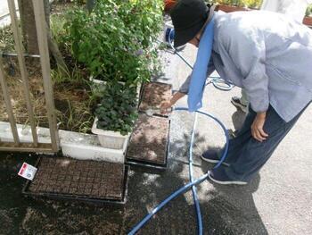 大塚公民館の花壇の写真3