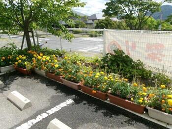 大塚公民館の花壇の写真4