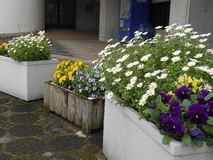 スポーツセンターの花壇の写真2