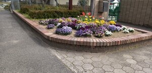 城山北中学校の花壇の写真1