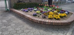 城山北中学校の花壇の写真2