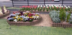 松原川緑地の花壇の写真2