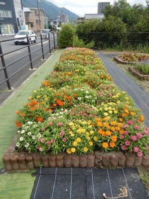 松原川緑地の花壇の写真2