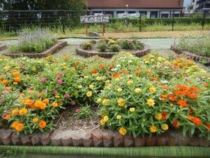 松原川緑地の花壇の写真2