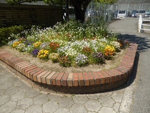城山北中学校の花壇の写真1