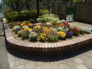城山北中学校の花壇の写真2