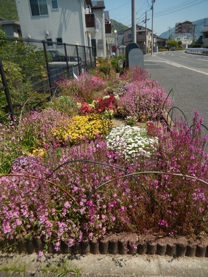 七軒茶屋ガーデンの花壇の写真1