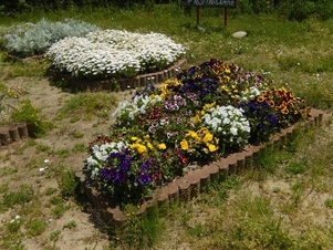 松原川緑地の花壇の写真1