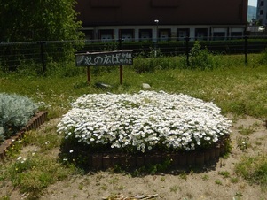 松原川緑地の花壇の写真2