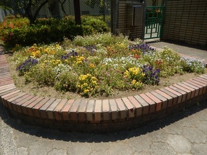 城山北中学校の花壇の写真1