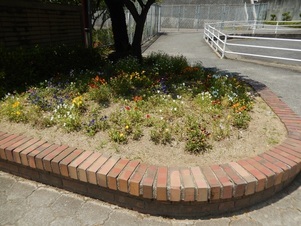 城山北中学校の花壇の写真2