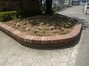 城山北中学校の花壇の写真1