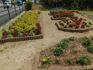 松原川緑地の花壇の写真2