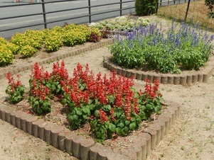 松原川緑地の花壇の写真3
