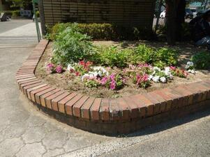城山北中学校の花壇の写真1