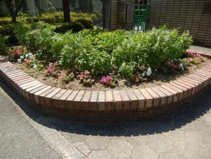 城山北中学校の花壇の写真2