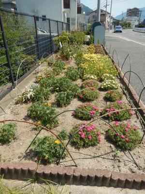 七軒茶屋ガーデンの花壇の写真1