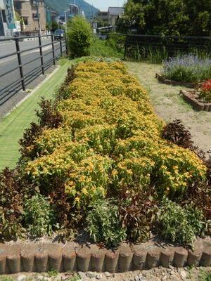 松原川緑地の花壇の写真1