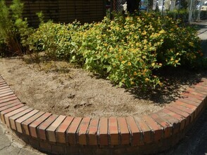 城山北中学校の花壇の写真1