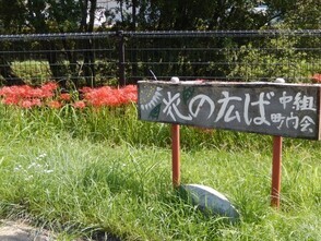 松原川緑地の花壇の写真1