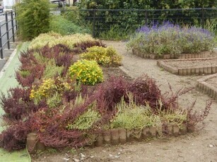 松原川緑地の花壇の写真1