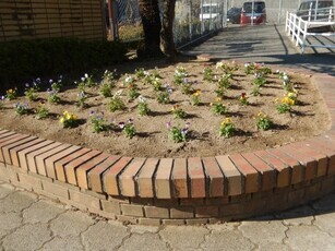 城山北中学校の花壇の写真1