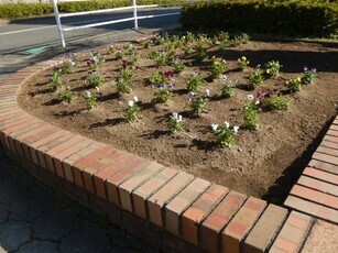 城山北中学校の花壇の写真2