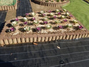 松原川緑地の花壇の写真1