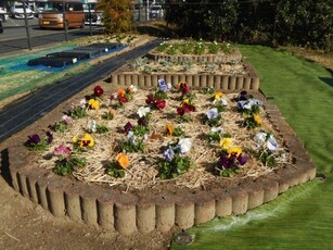 松原川緑地の花壇の写真2