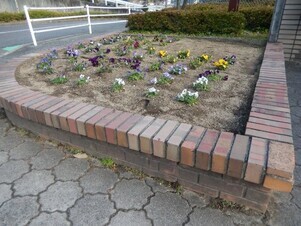 城山北中学校の花壇の写真1