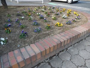 城山北中学校の花壇の写真2