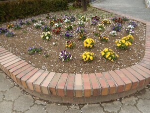 城山北中学校の花壇の写真1