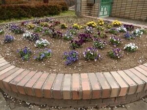 城山北中学校の花壇の写真2