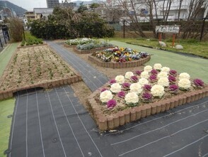 松原川緑地の花壇の写真1