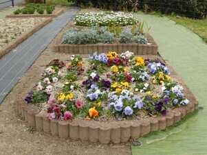 松原川緑地の花壇の写真2