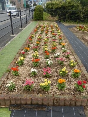 松原川緑地の花壇の写真1