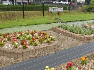 松原川緑地の花壇の写真2