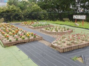 松原川緑地の花壇の写真2