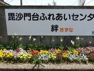 ふれあいセンター絆の花壇の写真1
