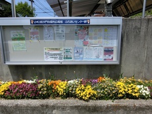 ふれあいセンター絆の花壇の写真2