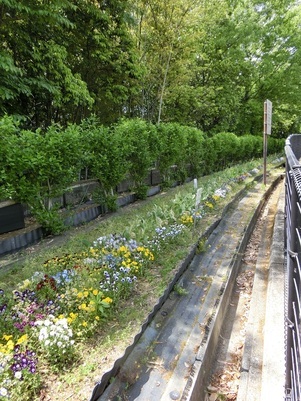毘沙門台中バス停南側の花壇の写真2