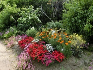 毘沙門台南第一公園の花壇の写真1