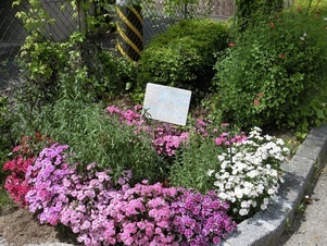 毘沙門台南第一公園の花壇の写真3