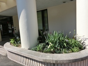 安東公民館の花壇写真1