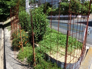毘沙門台東1-5の道路の花壇の写真1