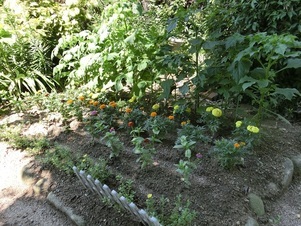 毘沙門台南第一公園の花壇の写真1