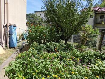 安東公民館のプランターの写真