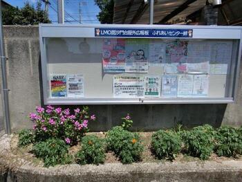ふれあいセンター絆の花壇の写真2